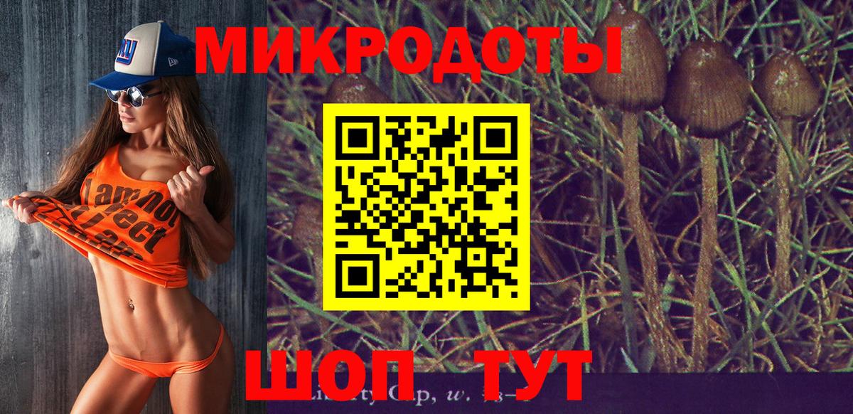 Псилоцибиновые грибы прущие грибы Реутов