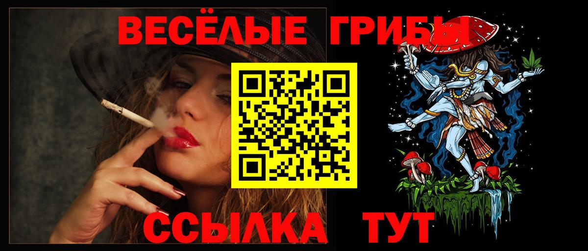 где можно купить наркотик  Вход с VPN  Реутов  Псилоцибиновые грибы мицелий 